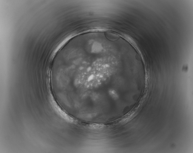 X0000114610859200911101150