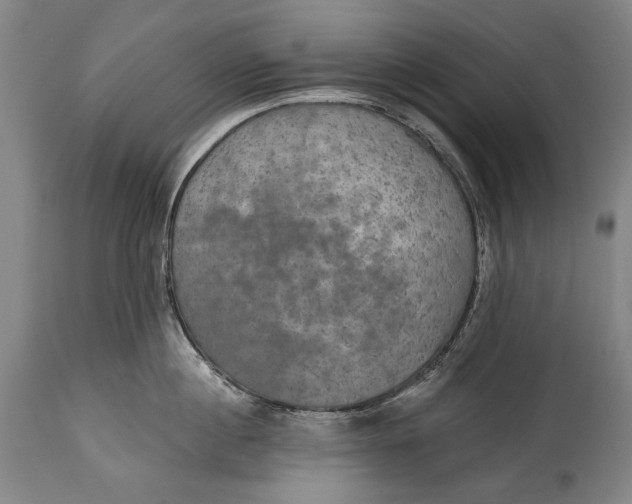 X0000114610860200911101150