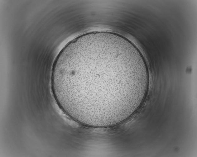 X0000114610861200911101150