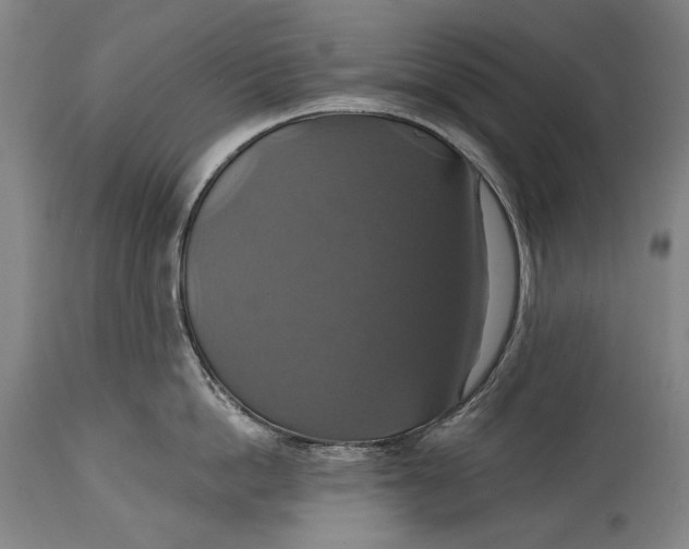 X0000114610862200911101150