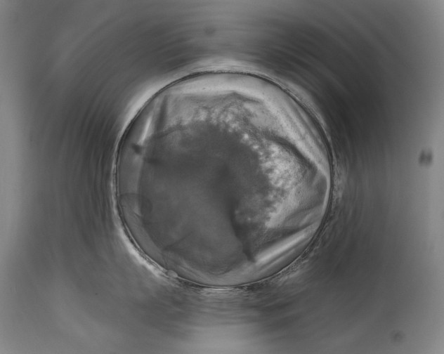 X0000114610863200911101150