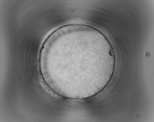 X0000114610864200911101150