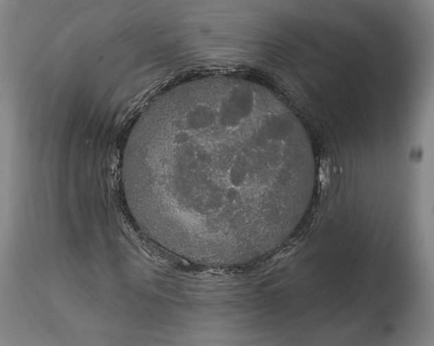 X0000114610867200911101150