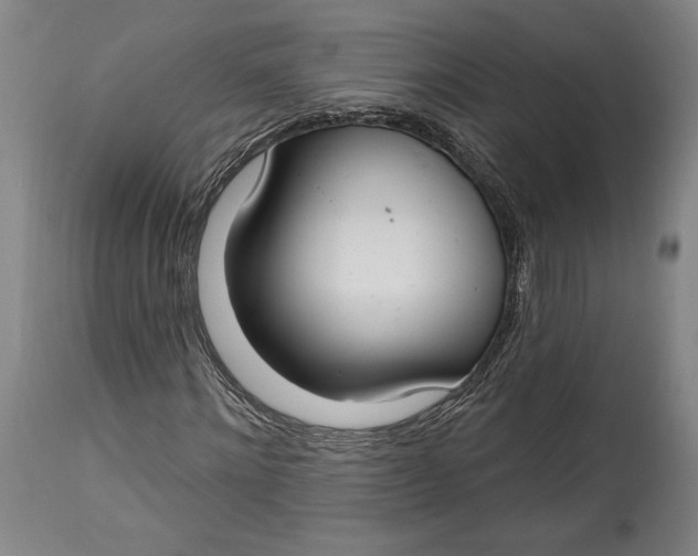 X0000114610868200911101150