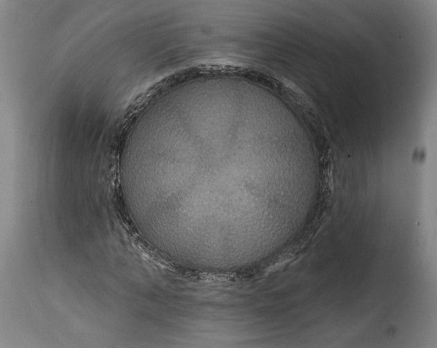 X0000114610870200911101150