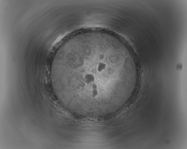 X0000114610871200911101150