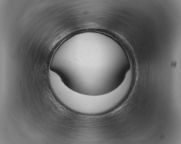 X0000114610873200911101150