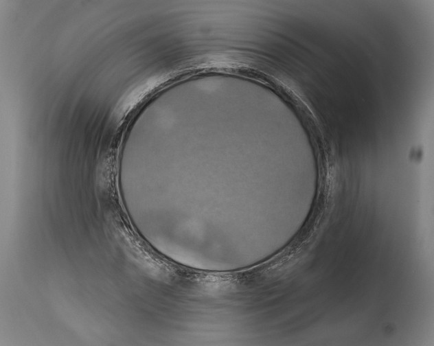 X0000114610874200911101150