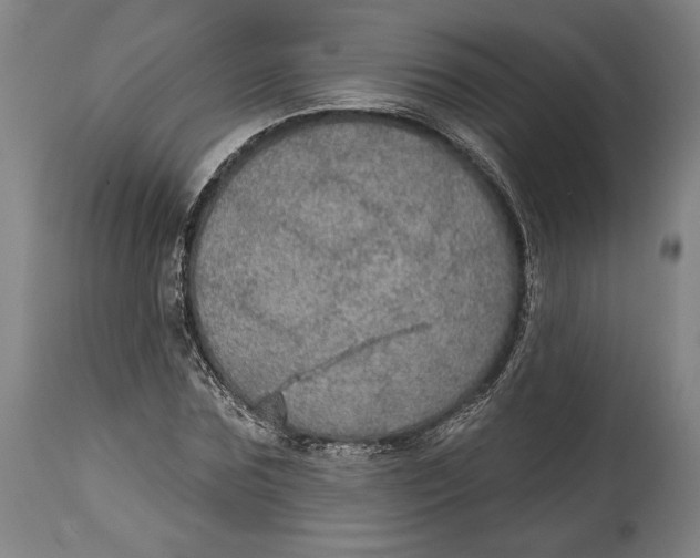 X0000114610875200911101150