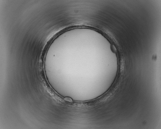 X0000114610876200911101150