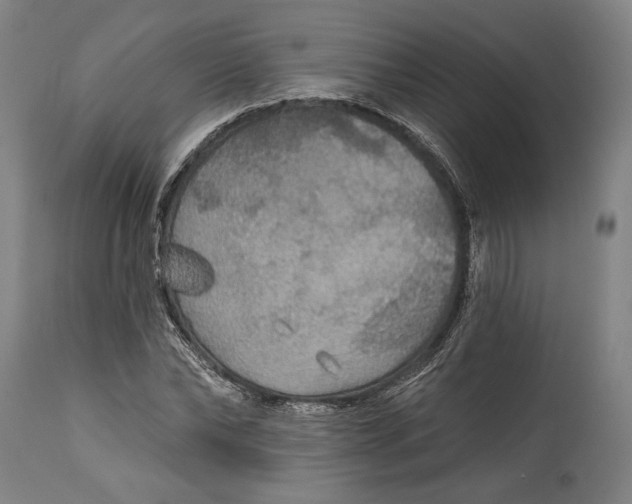 X0000114610878200911101150