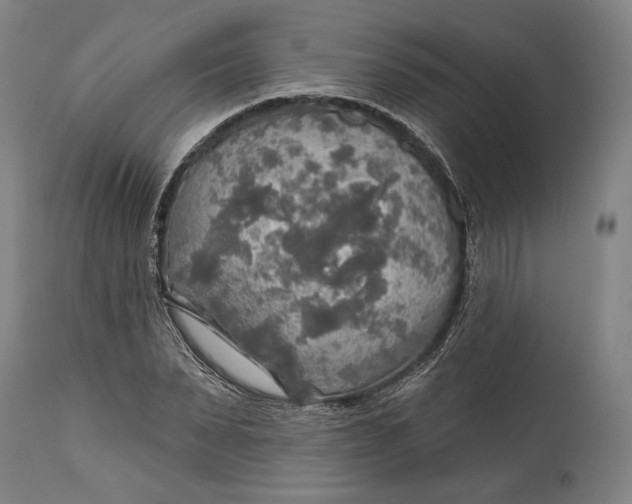 X0000114610879200911101150