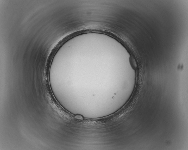 X0000114610880200911101150