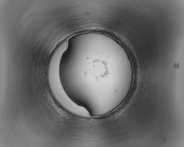 X0000114610881200911101149