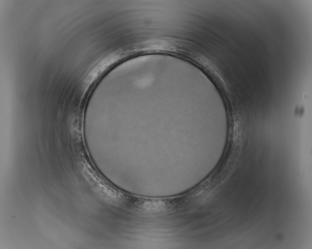 X0000114610882200911101149