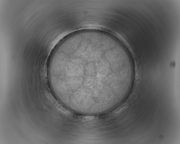 X0000114610883200911101149