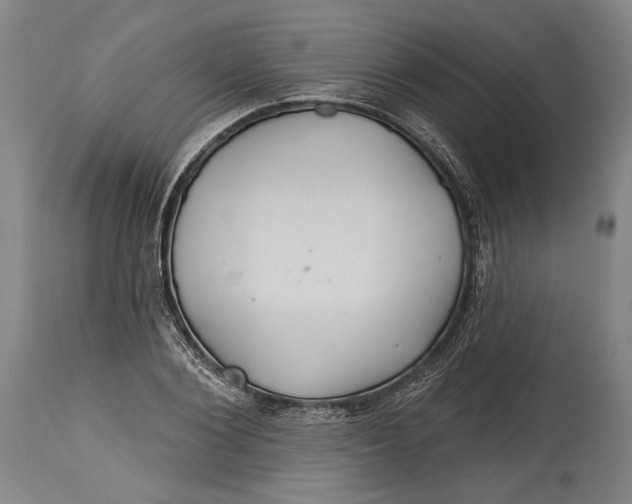 X0000114610884200911101149