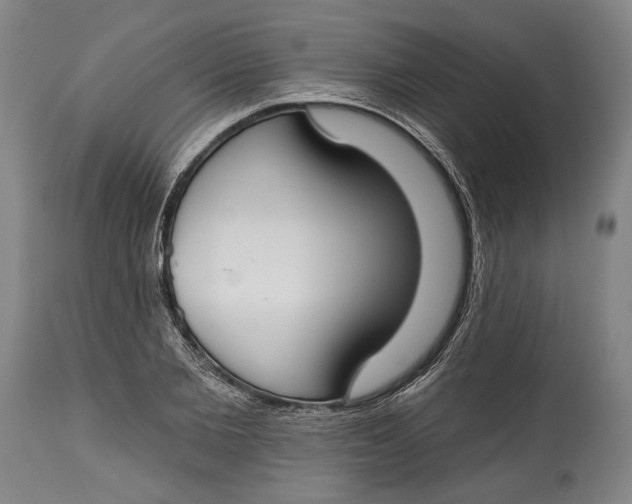 X0000114610885200911101149