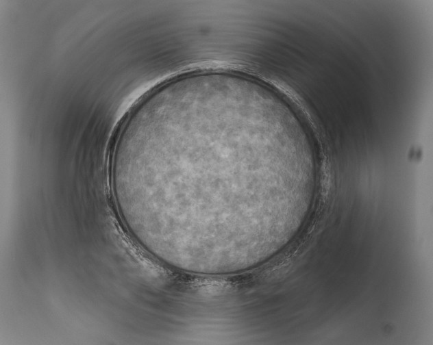 X0000114610886200911101149