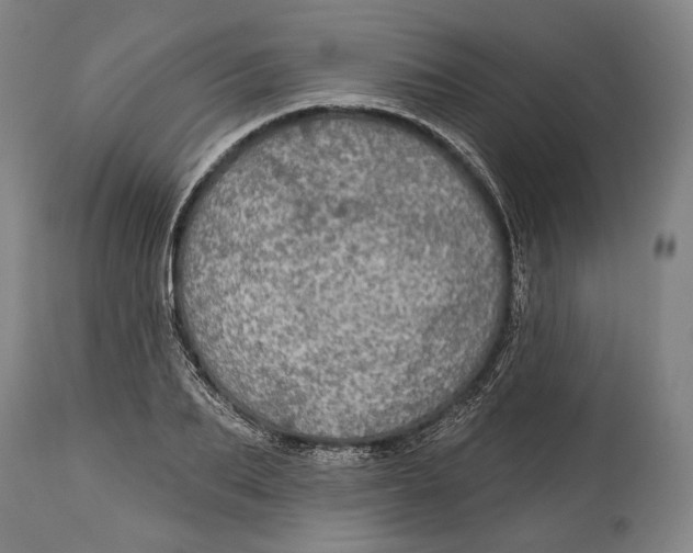 X0000114610887200911101149