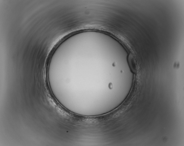 X0000114610888200911101149