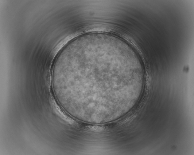 X0000114610890200911101149