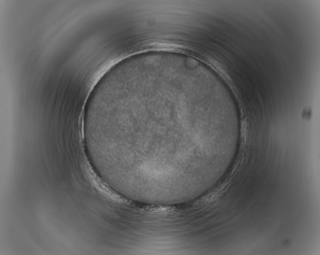 X0000114610891200911101149