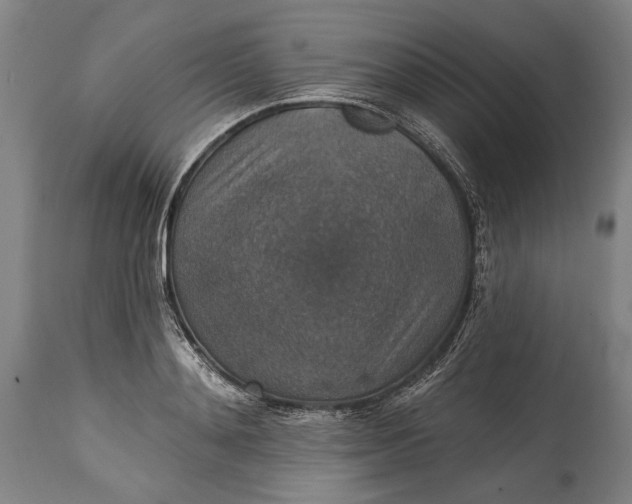 X0000114610892200911101149