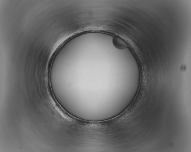 X0000114610894200911101149