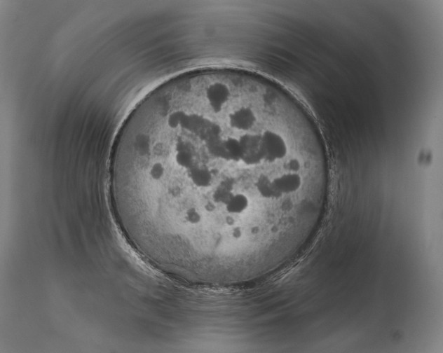 X0000114610895200911101149