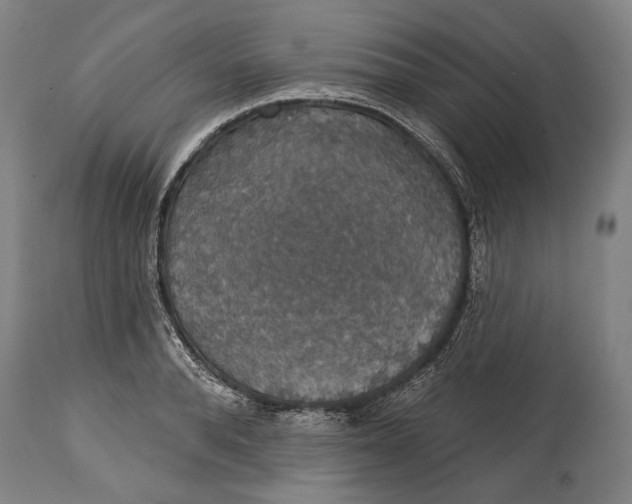 X0000114610896200911101149