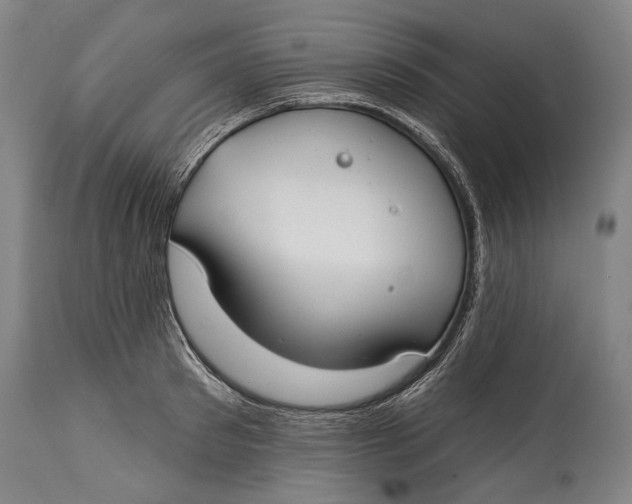 X0000114610897200911101149