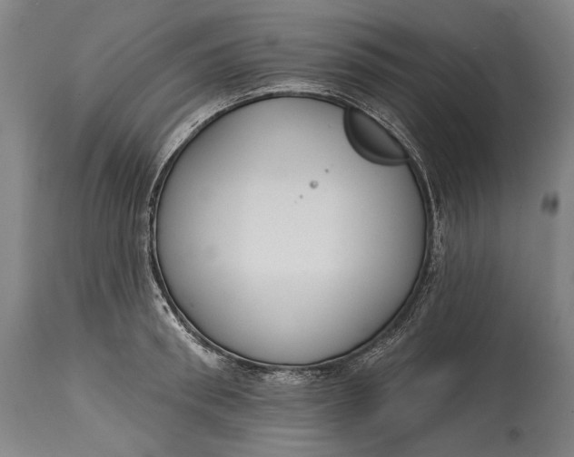 X0000114610898200911101149