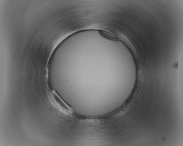 X0000114610900200911101149