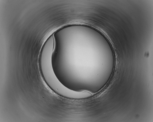 X0000114610901200911101149