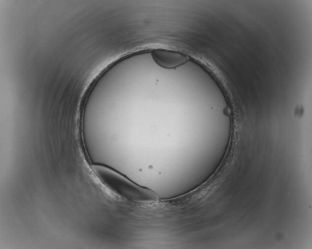 X0000114610902200911101149