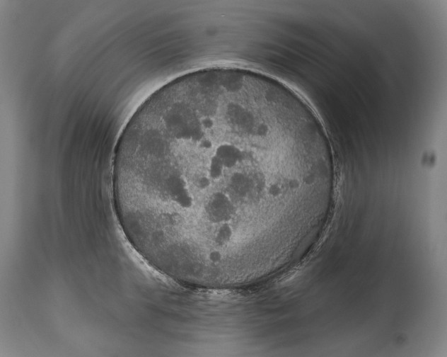 X0000114610903200911101149