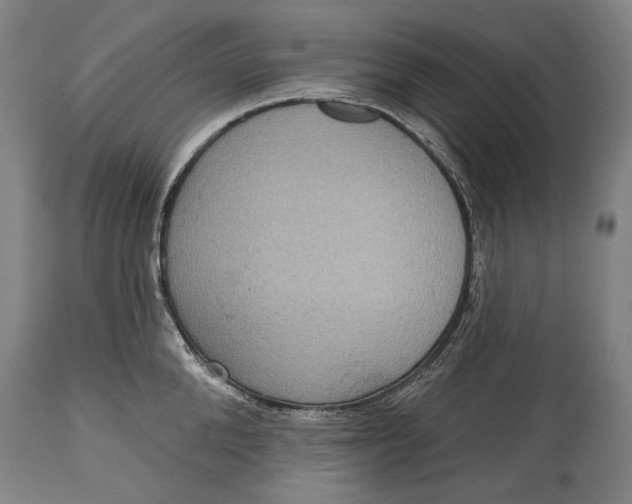 X0000114610904200911101149