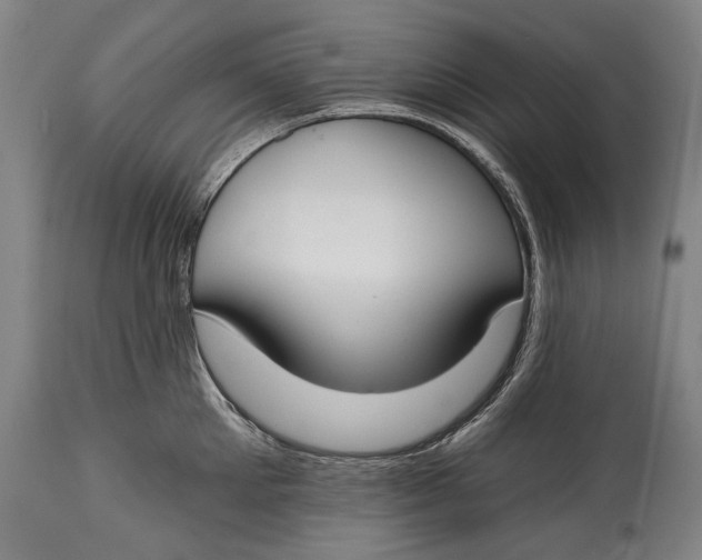 X0000114610905200911101149