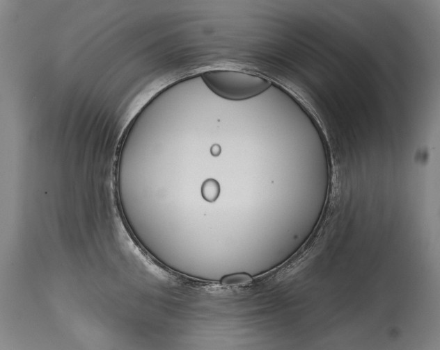 X0000114610906200911101149