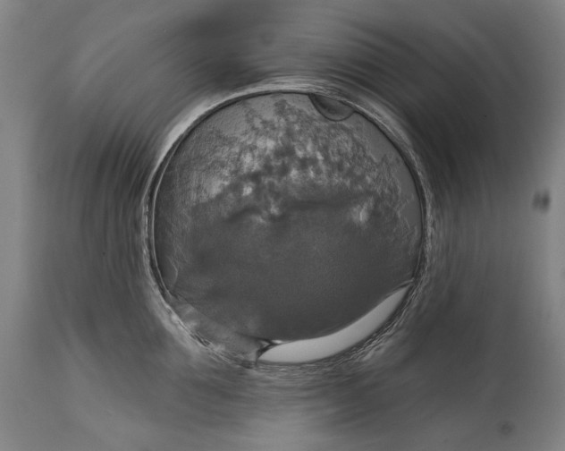 X0000114610907200911101149