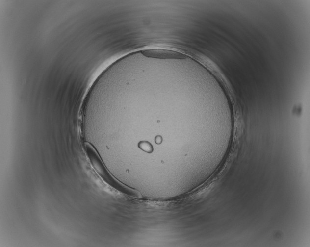 X0000114610908200911101149