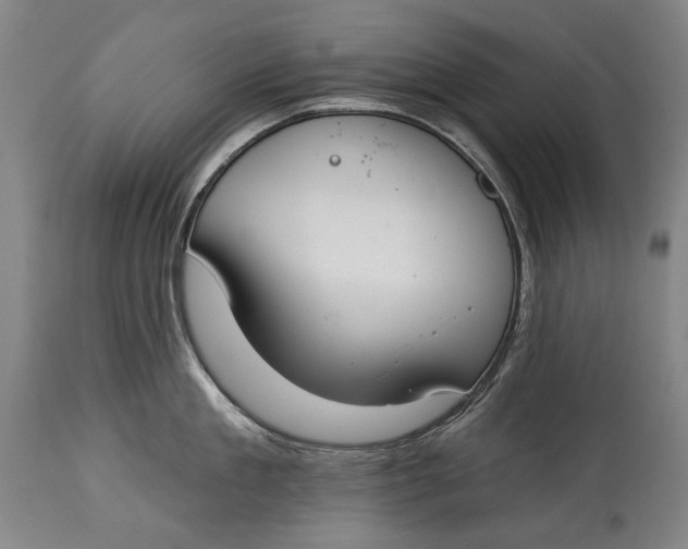 X0000114610909200911101149