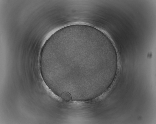 X0000114610910200911101149