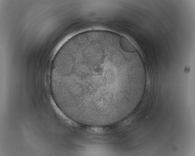 X0000114610911200911101149