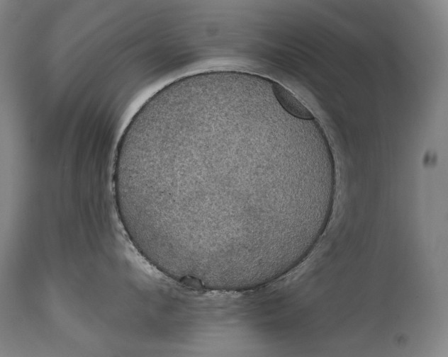 X0000114610912200911101149