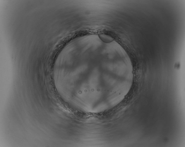 X0000114610913200911101148