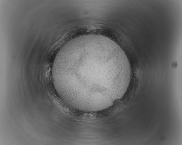 X0000114610914200911101148