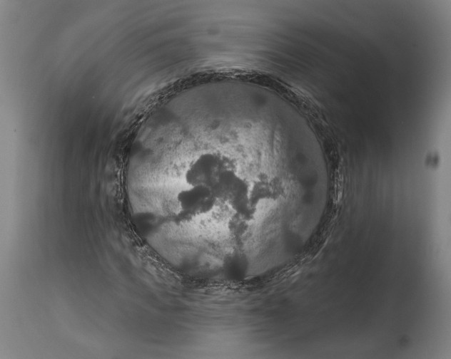 X0000114610917200911101148