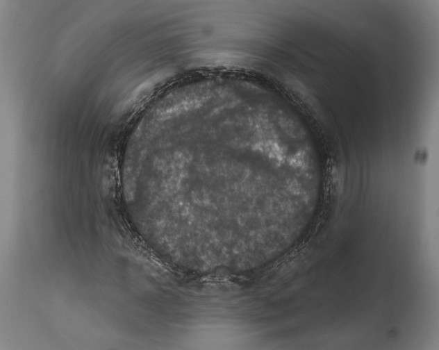 X0000114610918200911101148